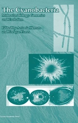 Antonia Herrero, Enrique Flore, Enrique Flores - Cyanobacteria, Inbunden
