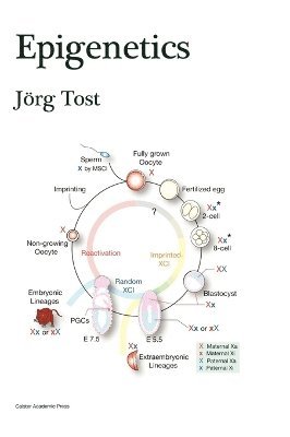 bokomslag Epigenetics