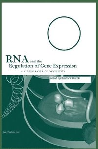bokomslag RNA and the Regulation of Gene Expression