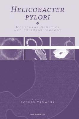 Yoshio Yamaoka - Helicobacter Pylori, Inbunden