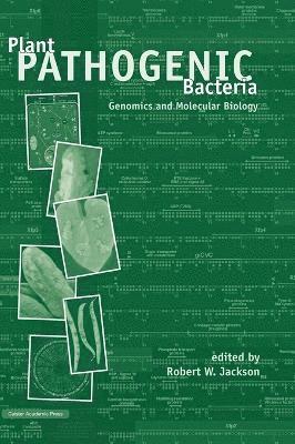 Plant Pathogenic Bacteria 1