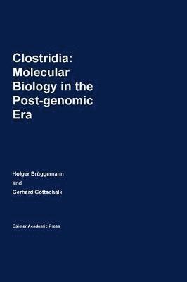 Clostridia 1