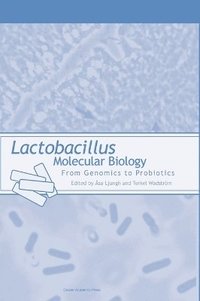 bokomslag Lactobacillus Molecular Biology