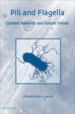 bokomslag Pili and Flagella