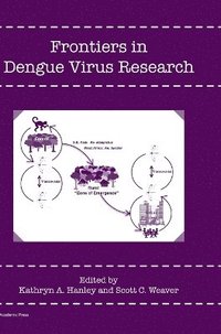 bokomslag Frontiers in Dengue Virus Research