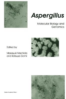bokomslag Aspergillus