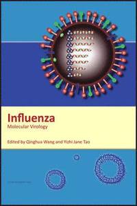 bokomslag Influenza