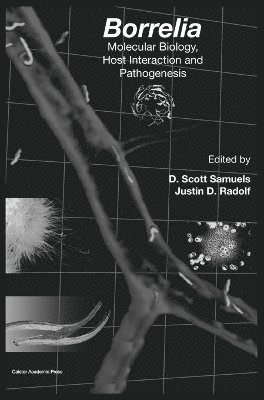 bokomslag Borrelia: Molecular Biology, Host Interaction and Pathogenesis