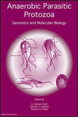 bokomslag Anaerobic Parasitic Protozoa