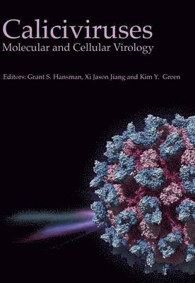 Caliciviruses 1