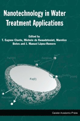 T. Eugene Cloete, Michele de Kwaadsteniet, Marelize Botes, J. Manuel Lopez-Romero - Nanotechnology in Water Treatment Applications, Inbunden