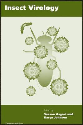 bokomslag Insect Virology