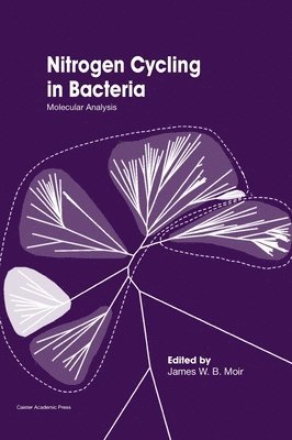 bokomslag Nitrogen Cycling in Bacteria