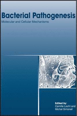 bokomslag Bacterial Pathogenesis