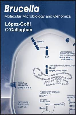 I. Lopez-Goni, David O'Callaghan, Ignacio López-Goñi - Brucella, Inbunden