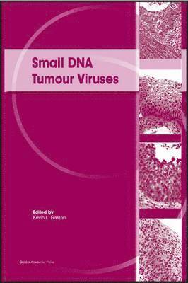 bokomslag Small DNA Tumour Viruses