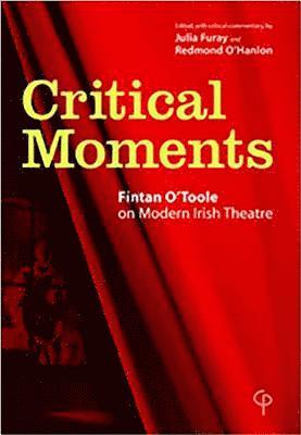 Fintan O'Toole, Julia Furay, Redmond O'Hanlon - Critical Moments, Häftad
