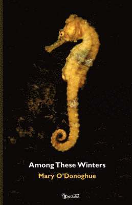 Mary O'Donoghue - Among These Winters, Häftad