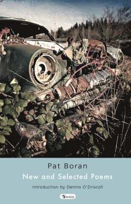 New and Selected Poems 1