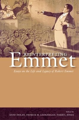 Anne Dolan, Patrick Geoghegan, Darryl Jones - Reinterpreting Emmet, Häftad