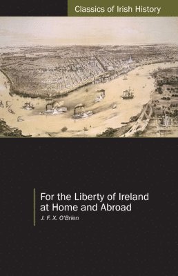 bokomslag For the Liberty of Ireland, at Home and Abroad