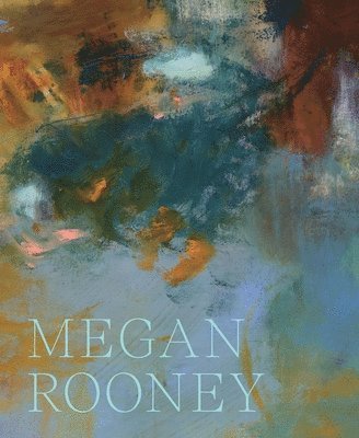 bokomslag Megan Rooney: Echoes and Hours