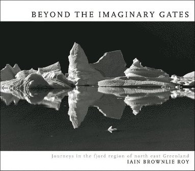 bokomslag Beyond The Imaginary Gates