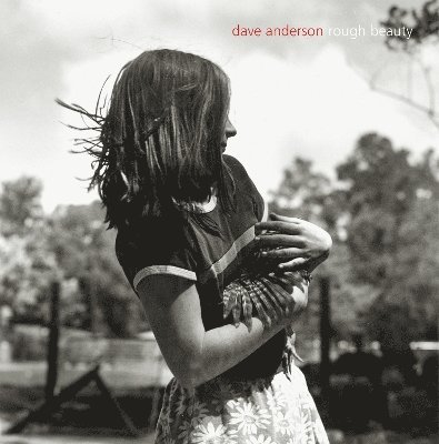 Dave Anderson - Rough Beauty, Inbunden
