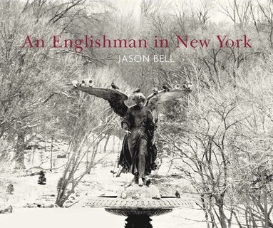 bokomslag An Englishman In New York