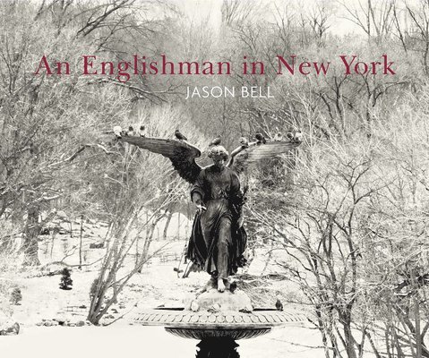 An Englishman In New York 1