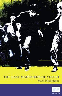 bokomslag Last Mad Surge of Youth