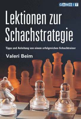 bokomslag Lektionen zur Schachstrategie