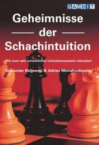 bokomslag Geheimnisse Der Schachintuition