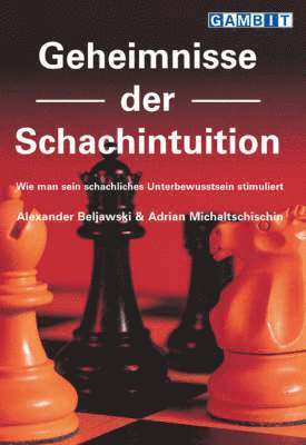 bokomslag Geheimnisse Der Schachintuition