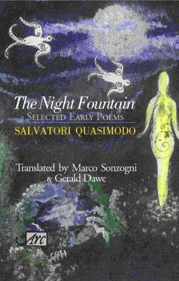 bokomslag The Night Fountain