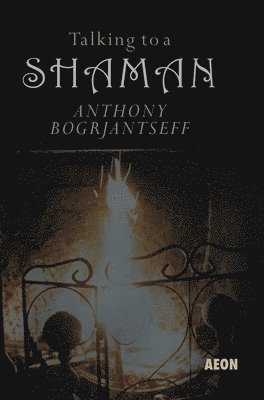 bokomslag Talking to a Shaman