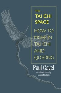 bokomslag The Tai Chi Space