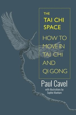 Tai Chi Space