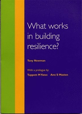 What Works in Building Resilience? 1