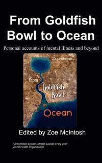 bokomslag From Goldfish Bowl to Ocean