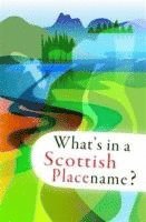 What's in a Scottish Placename?, Häftad