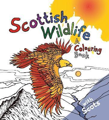 Scottish Wildlife 1