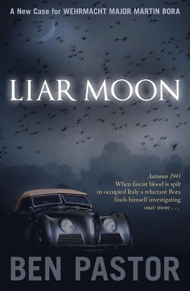 bokomslag Liar Moon