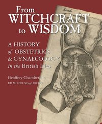 bokomslag From Witchcraft to Wisdom