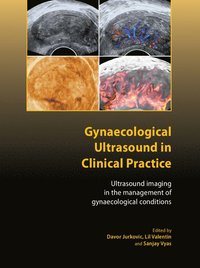 bokomslag Gynaecological Ultrasound in Clinical Practice