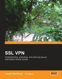 bokomslag SSL VPN : Understanding, evaluating and planning secure, web-based remote access
