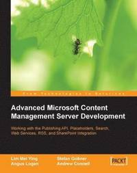 bokomslag Advanced Microsoft Content Management Server Development