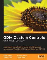 bokomslag GDI+ Application Custom Controls with Visual C# 2005