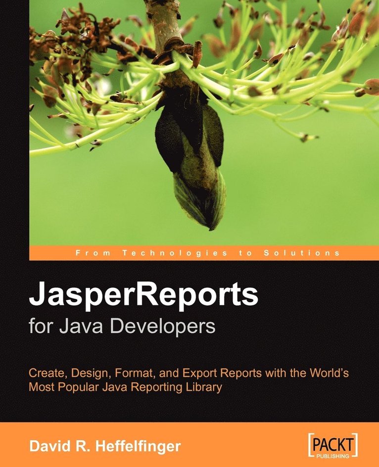 JasperReports for Java Developers 1