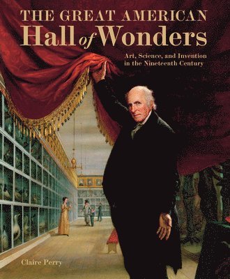 bokomslag Great American Hall of Wonders: Art, Science, and Invention in the Nineteenth Century